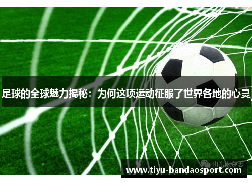 足球的全球魅力揭秘：为何这项运动征服了世界各地的心灵